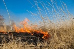 Весенние палы травы. Чем они опасны и какой вред наносят данные пожары?