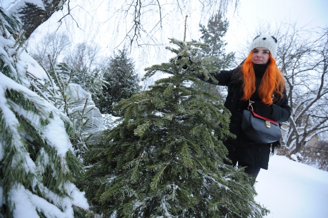 Жители Филимонковского смогут сдать елку в пункт сбора