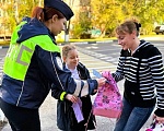 В Новой Москве пройдет профилактическое мероприятие «Пешеход»